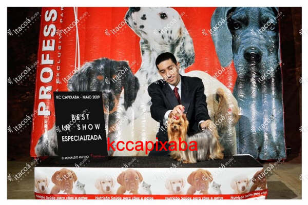 Clique sobre a foto para fechar